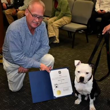 VIDEO: Rescue dog becomes 'paw-trol officer' after Kentucky police department adopts him