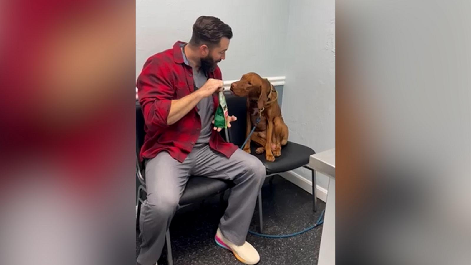 VIDEO: Veterinarian helps dog calm down before visit