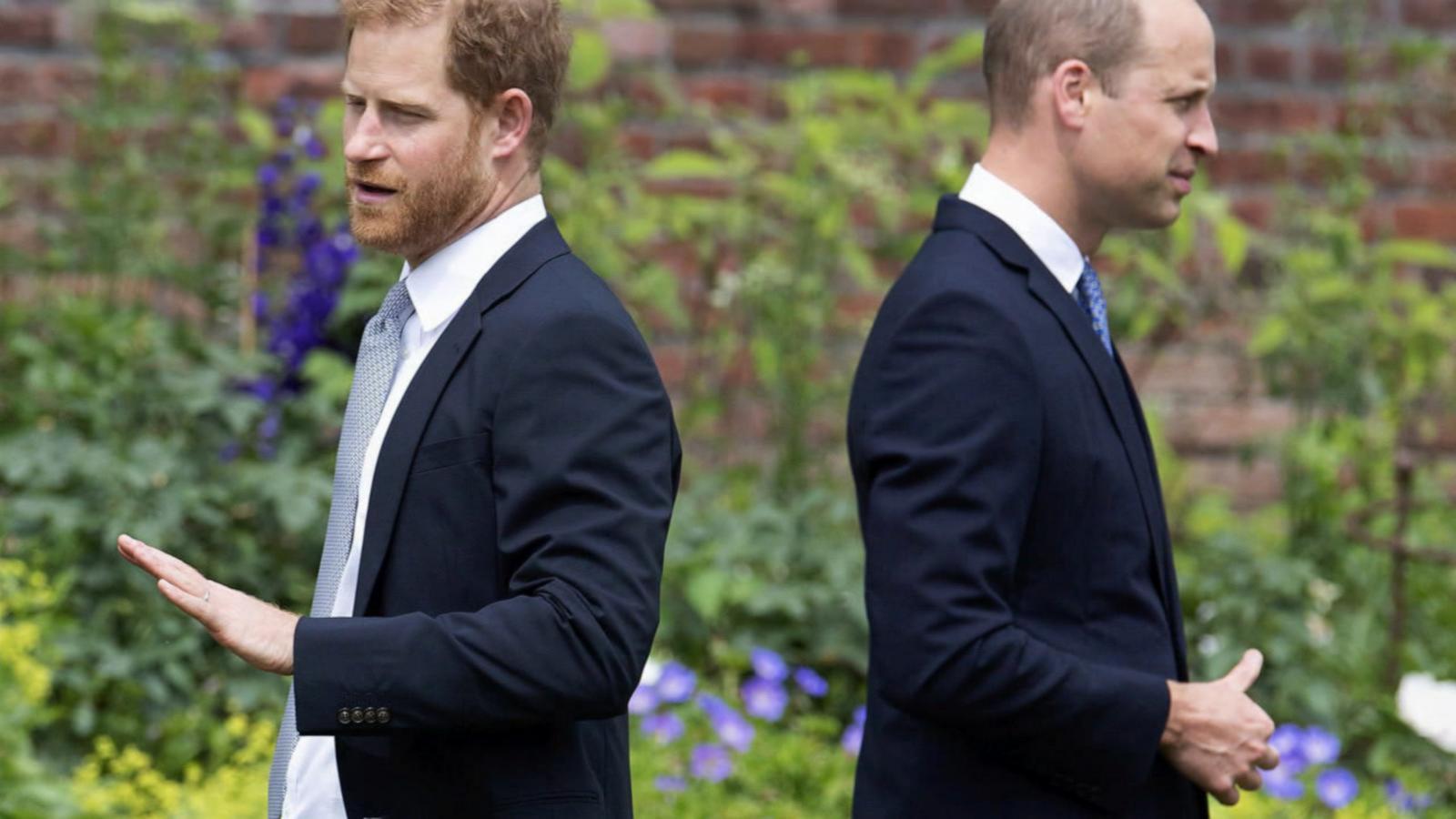 VIDEO: New book sheds light on royal rift between Princes William and Harry