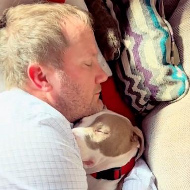 VIDEO: Dad caught cuddling puppy ‘he didn’t want’ on sofa ‘she’s not allowed on’ 