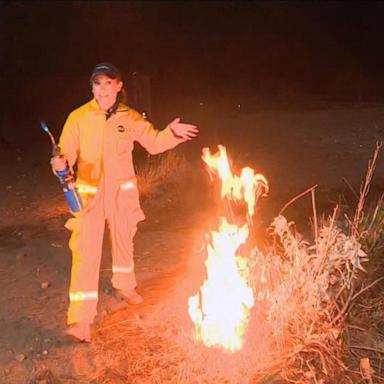 VIDEO: How plants on your property could save your house from a fire