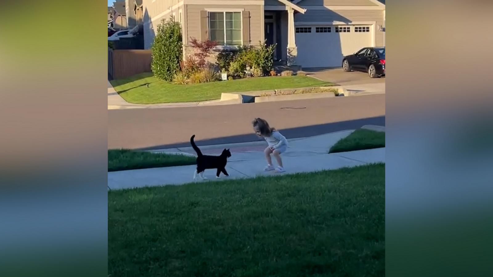 VIDEO: Watch adorable moment little girl tries to befriend cat