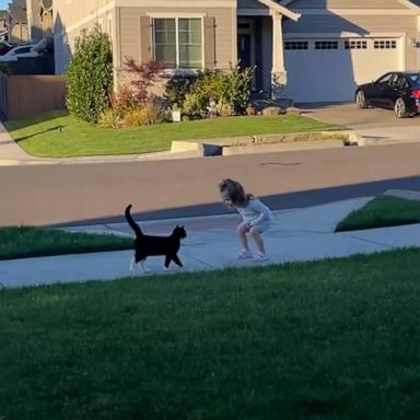 VIDEO: Watch adorable moment little girl tries to befriend cat 