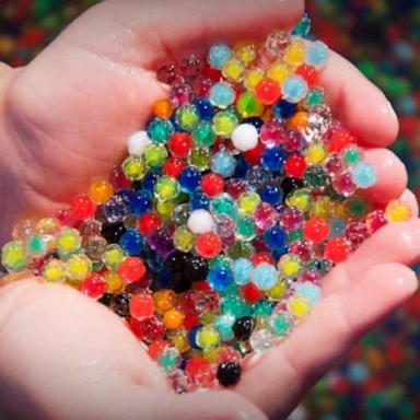 VIDEO: Major retailers pull water beads from shelves