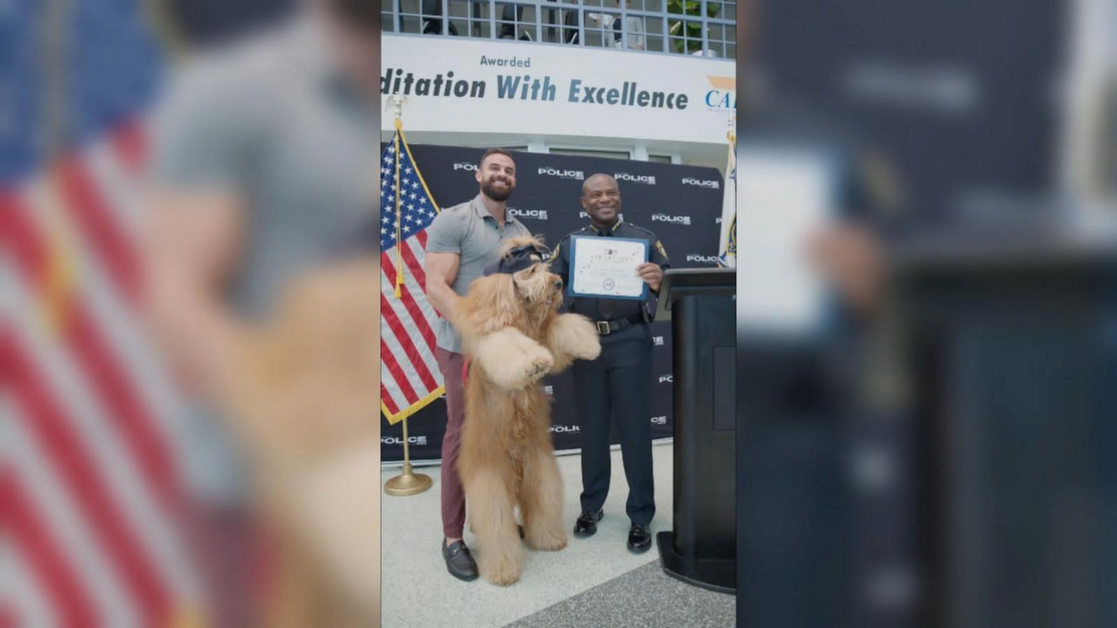 Viral dog becomes honorary member of Miami Beach Police Good