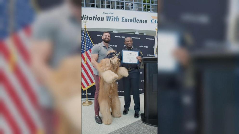 Viral dog becomes honorary member of Miami Beach Police