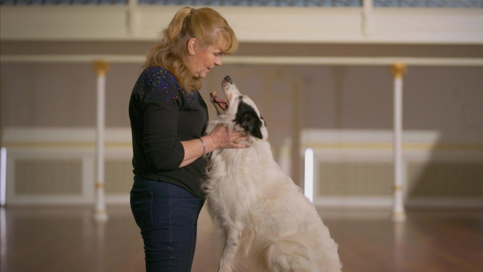 VIDEO: International dog show allows rescue dogs to compete