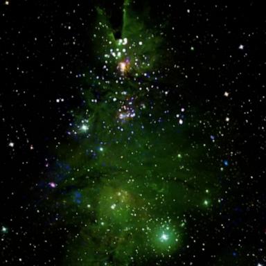 VIDEO: NASA released images of a 'Christmas Tree Cluster'