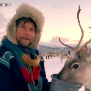 VIDEO: Meet real-life professional ‘reindeer herder’