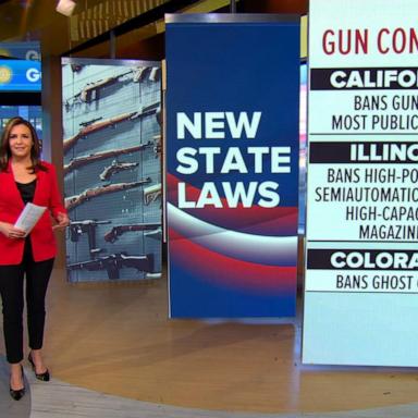 VIDEO: New state laws in effect in 2024