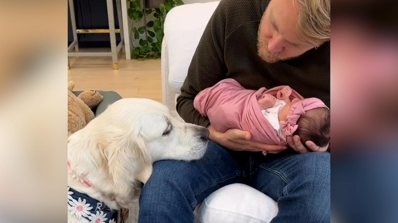 VIDEO: Excited dog can't wait to meet her family's newborn baby