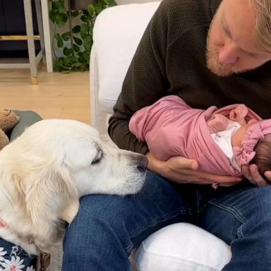 VIDEO: Excited dog can't wait to meet her family's newborn baby 