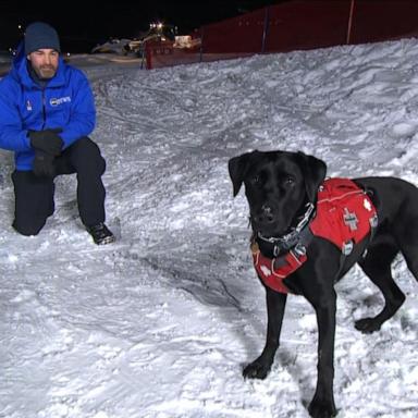 VIDEO: Urgent avalanche warnings in the west