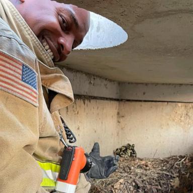 VIDEO: Firefighters rescue ducklings trapped in storm drain 