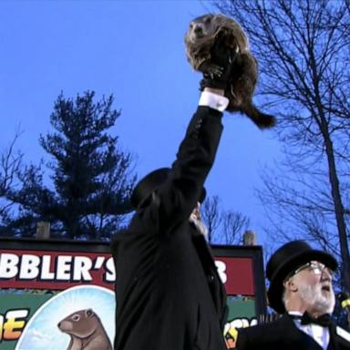 VIDEO: Punxsutawney Phil predicts early spring