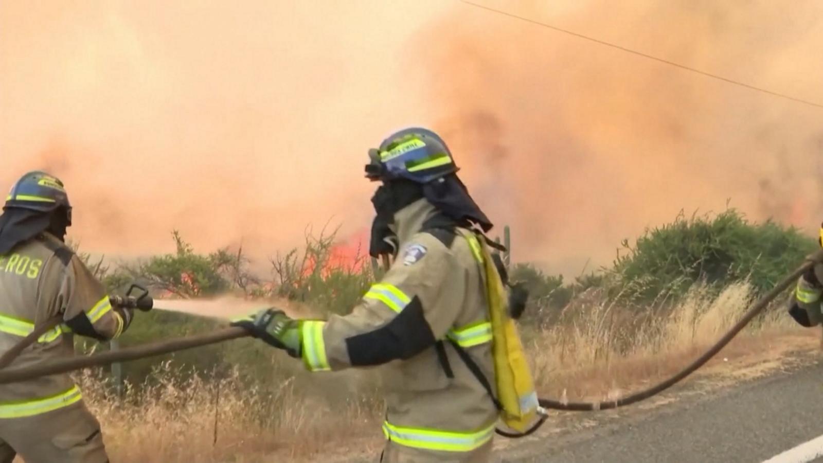 VIDEO: Chile declares state of emergency from wildfires