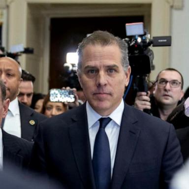 VIDEO: Former FBI source charged in Hunter Biden probe