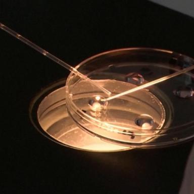 VIDEO: The latest on Alabama ruling embryos as children