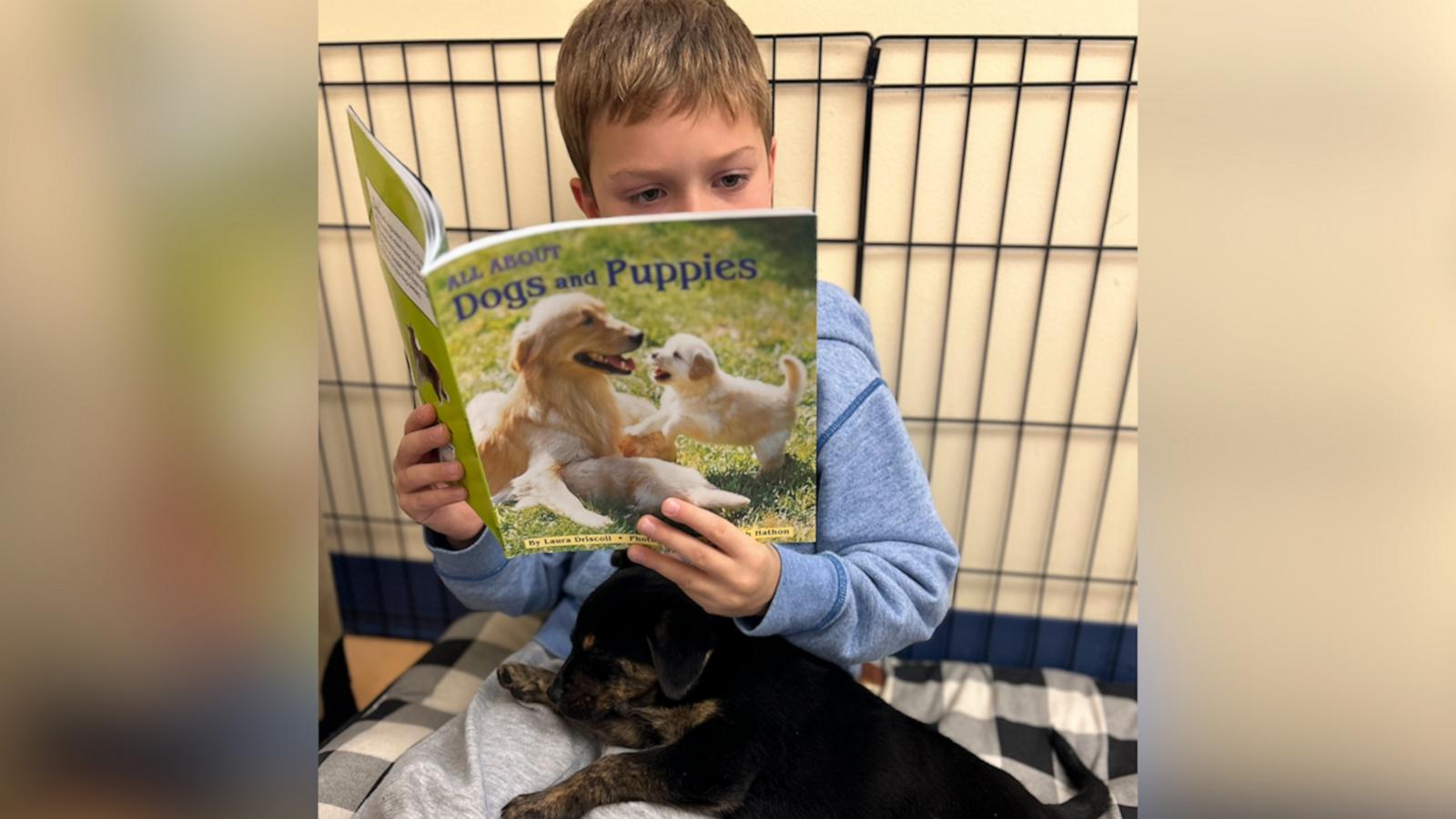 VIDEO: First grade class uses foster puppies to enhance their reading skills