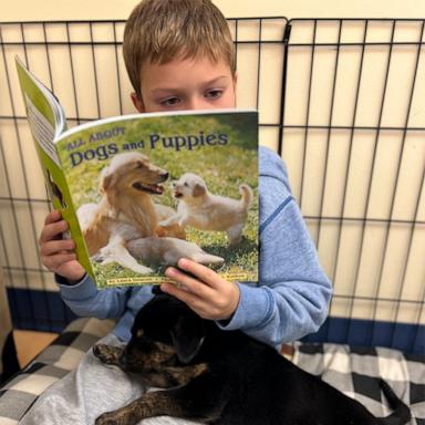 VIDEO: First grade class uses foster puppies to enhance their reading skills 