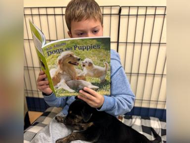 WATCH:  First grade class uses foster puppies to enhance their reading skills 