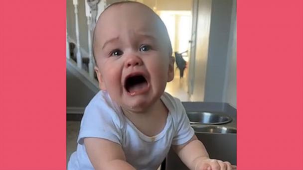 Baby has precious reaction to not being allowed to try dog's food