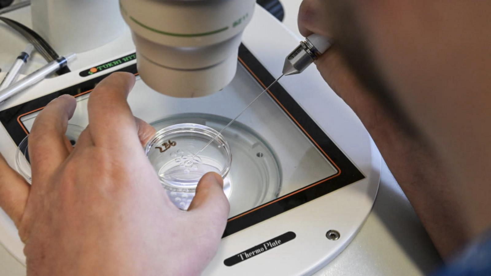 VIDEO: Alabama legislature passes bill to restore IVF access