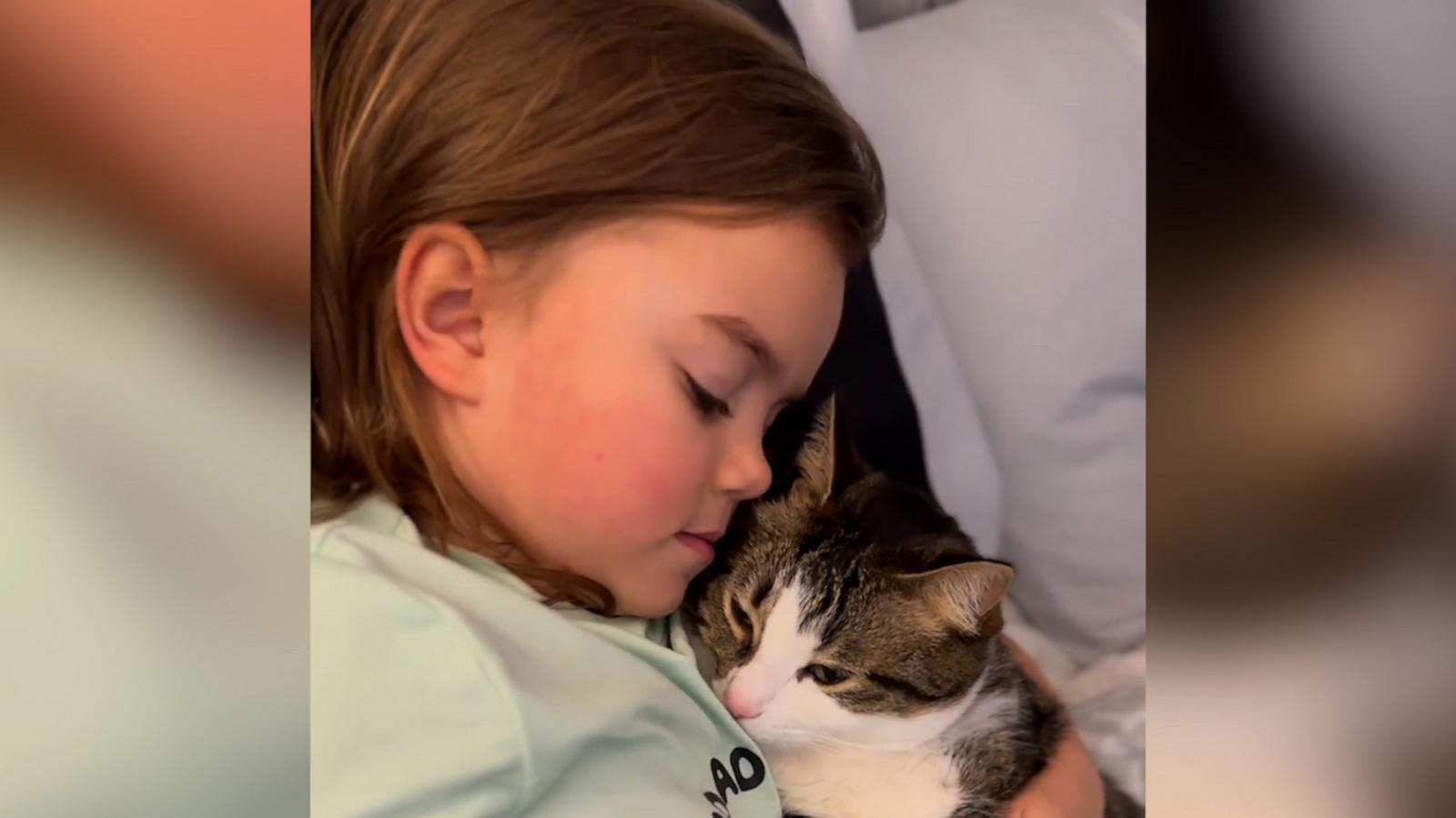 VIDEO: Little girl and cat share hug after being apart