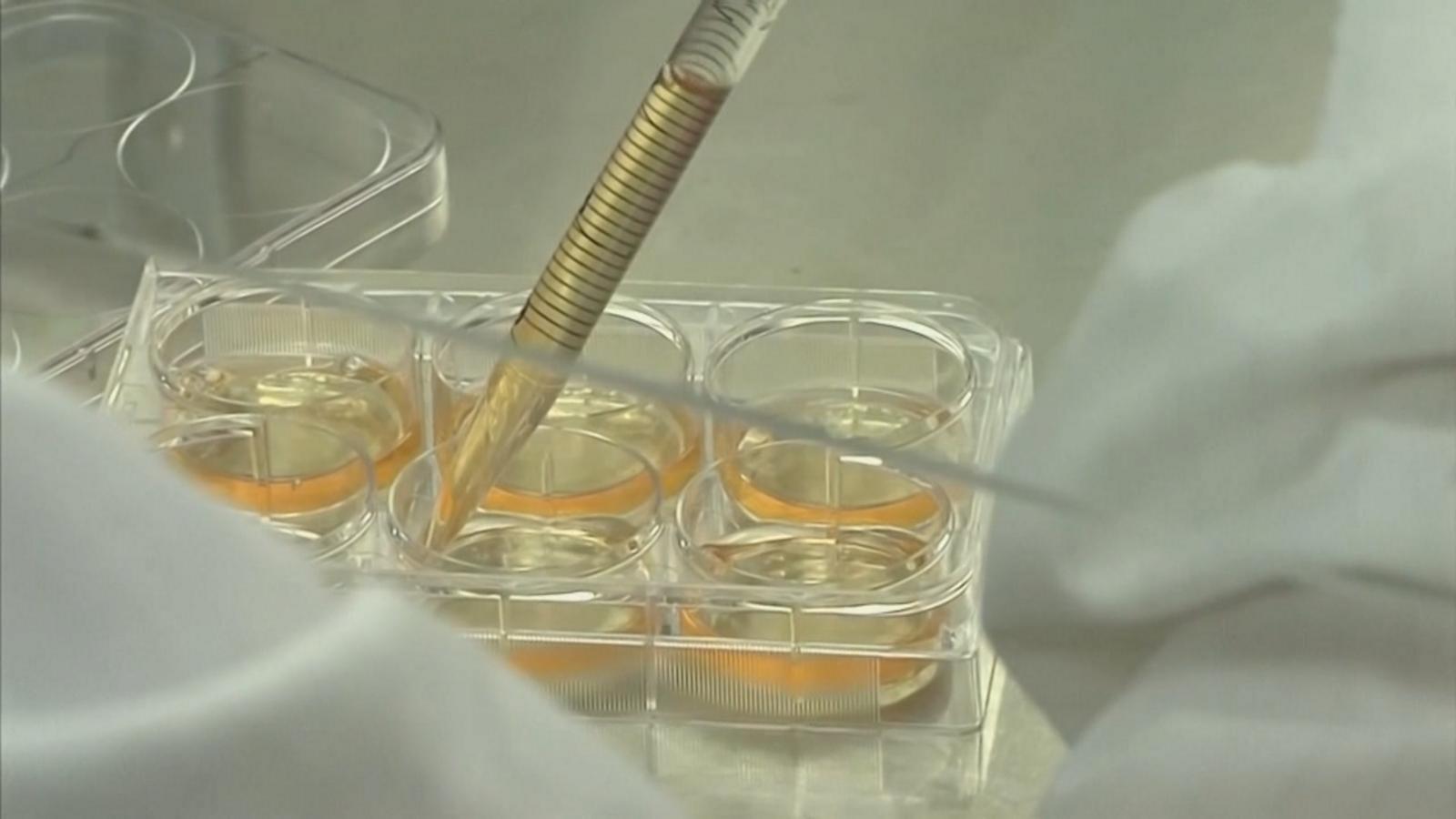 VIDEO: New Alabama IVF bill signed into law