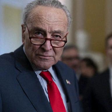 VIDEO: Sen. Schumer calls for new elections in Israel