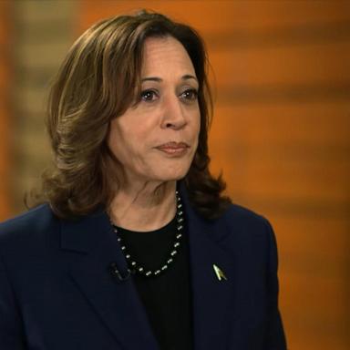 VIDEO: VP Harris discusses Parkland shooting, arrival of Israeli delegation