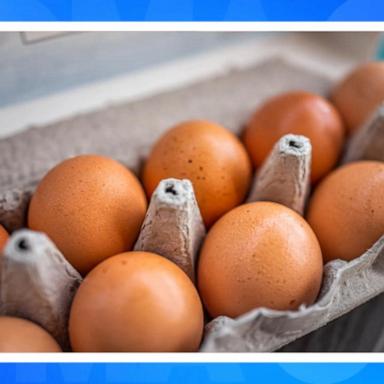 VIDEO: Eating a dozen eggs a week won't hurt cholesterol, study says