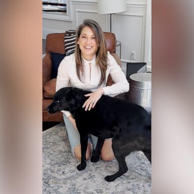 VIDEO: Ginger Zee on how to keep pets safe during the solar eclipse