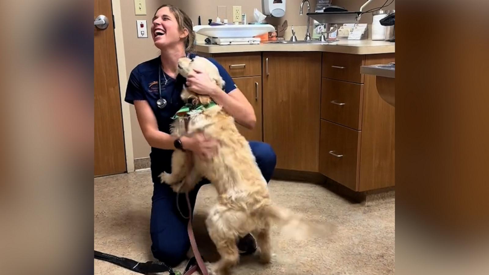 VIDEO: Dog is thrilled to visit the the vet who is her aunt