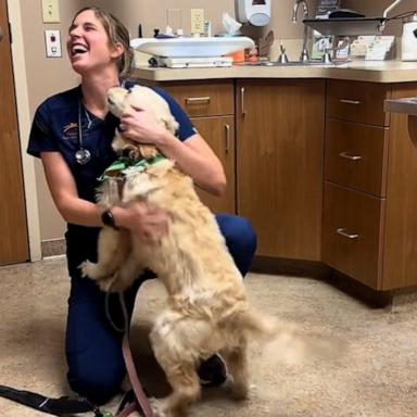 VIDEO: Dog is thrilled to visit the the vet who is her aunt 