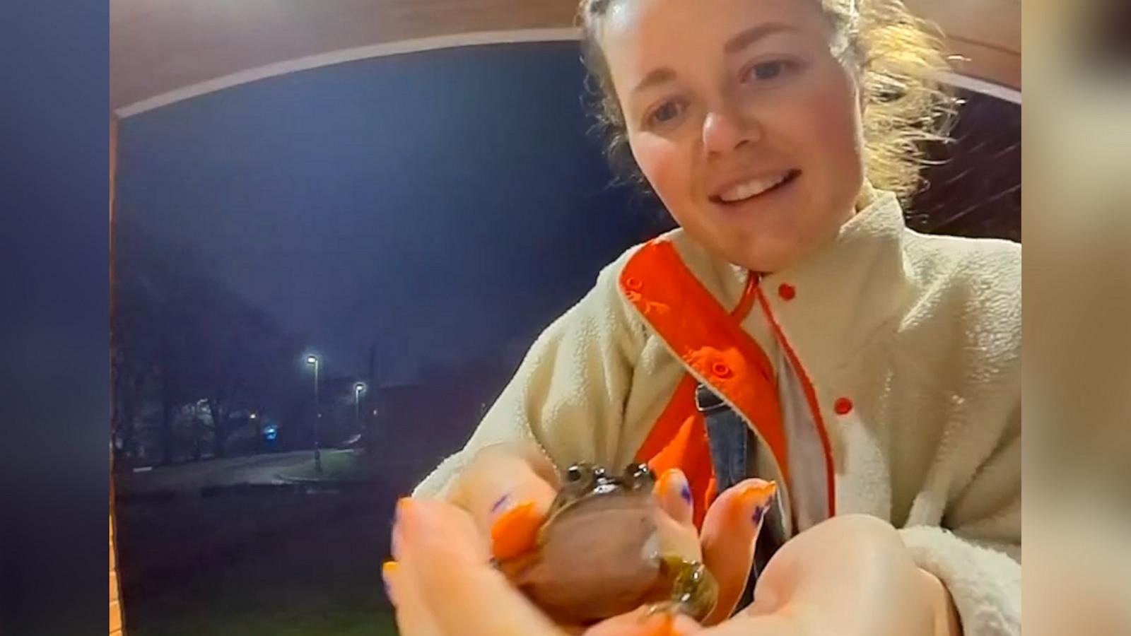 VIDEO: Wife is excited to find frog on doorstep even if her husband is hesitant