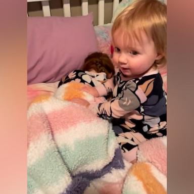 VIDEO: This toddler is the sweetest alarm clock in the morning for her sister