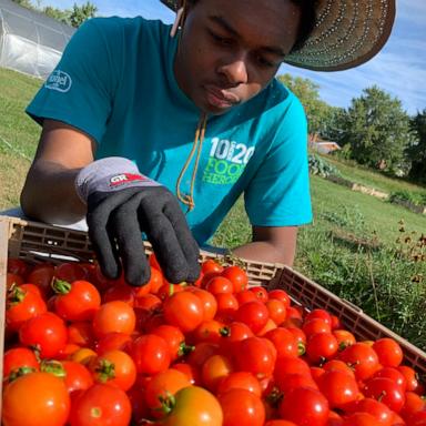 VIDEO: Meet the Disney Dreamer student who started a farm to address food insecurity