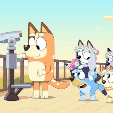 VIDEO: 1st look at 'Bluey' special episode