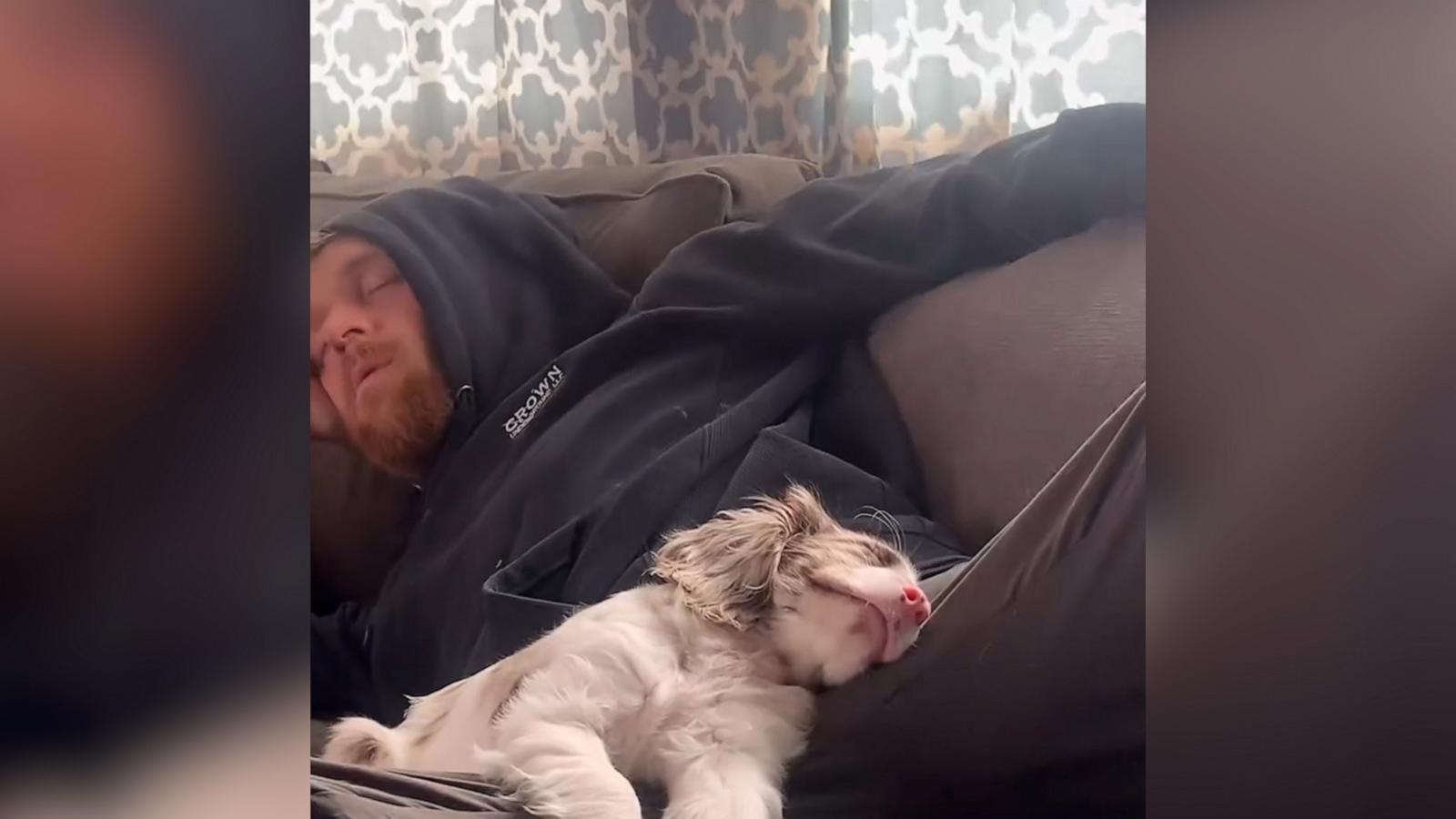 VIDEO: Deaf and blind puppy has ‘great love story’ with her human dad