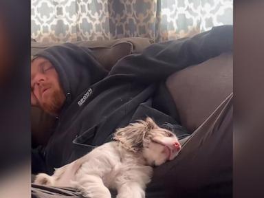 WATCH:  Deaf and blind puppy has ‘great love story’ with her human dad
