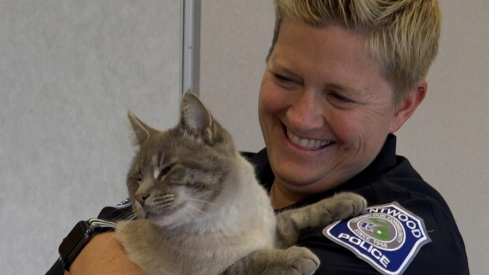 VIDEO: This cat showed up at a police station. Now he's part of the force as ‘Officer Donut’