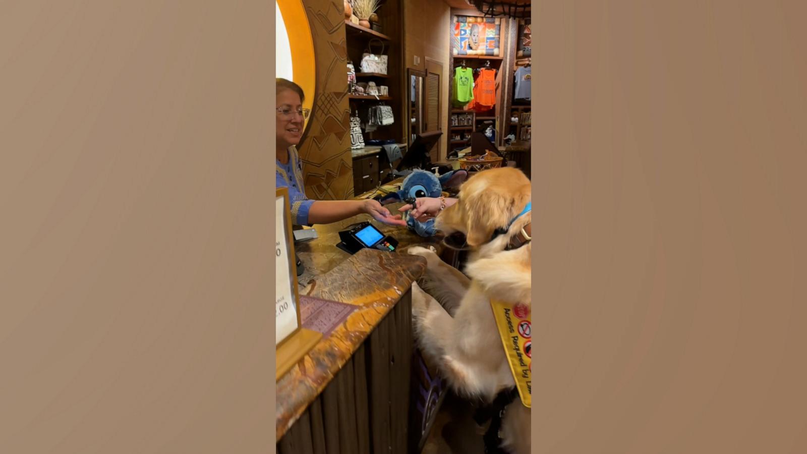 VIDEO: Service dog picks out his own toy and pays for it