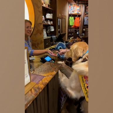 VIDEO: Service dog picks out his own toy and pays for it