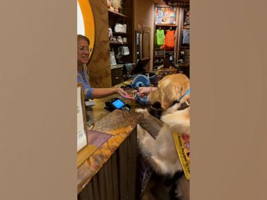 WATCH:  Service dog picks out his own toy and pays for it