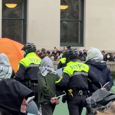 VIDEO: Pro-Palestine protests erupt on college campuses