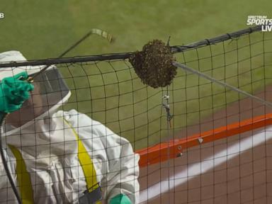WATCH:  Bees delay Diamondbacks baseball game