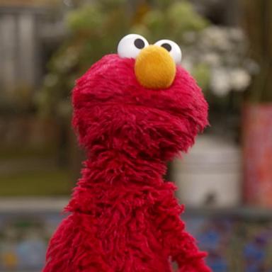 VIDEO: Elmo continues to help others with their mental health 