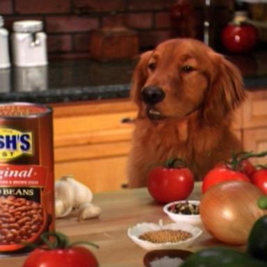 VIDEO: Celebrating 30 years of iconic Bush’s Beans ad