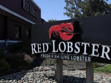 Red Lobster closes multiple locations, prepares to file for bankruptcy
